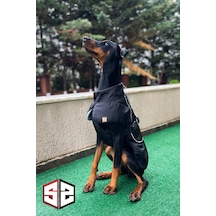 Salya Store Büyük Ve Orta Irk Su Geçirmez Köpek Montu Km-104