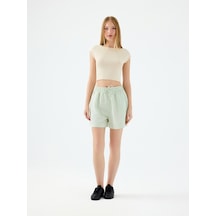 Mint Yeşili