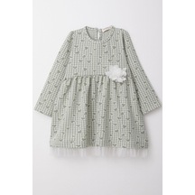 Mint Yeşili