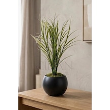 Küre Saksılı Açık Yeşil Yapay Sazlık 80 Cm Beyaz