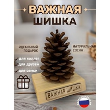 Önemli Kozalak Harika Bir Hediye 434827979