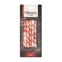 Trusty Beef Twısted Stıcks 10lu 55gr/12,7cm