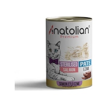 Premium Somonlu Ezme Kısırlaştırılmış Kedi Konservesi 400 Gr