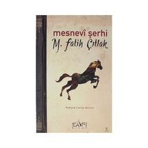 Mesnevi Şerhi - Tasavvuf Öğretileri Ve Eğitim Düzeyi