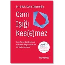 Cam Işığı Kesemez - Cam Tavan Sendromu ve Kurumsal Bağlılık Üzerine Bir Değerlendirme - Dilek Kaya İmamoğlu - Humanist Kitap Yayıncılık