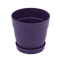 Poliwork Tabaklı Kaktüs Saksı Mix 0,11 Lt 65 60 Mm