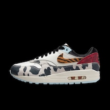 Nike Women's Air Max 1 '87 Çok Renkli