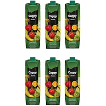 Cappy Atom Ballı Karışık Meyve Nektarı 1 Lt X 6 Adet