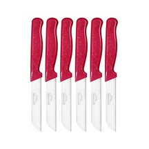 Solingen 6'li Tırtıklı Meyve Bıçağı Seti, Paslanmaz Çelik, Ergonomik Kaymaz Sap, Ultra Keskin, Meyve Ve Sebze İ Diğer