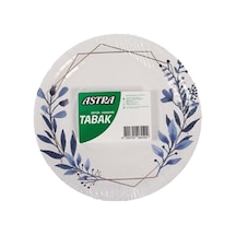 Karton Tabak Orta Boy 25 Li Diğer