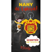 Petjoo 17.Nany Kırmızı-Sarı Qr'lı Köpek Künyesi