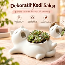 Dekoratif Kedi Saksı Sevimli Sukulent Ve Kaktüs Saksısı 111x138x55 Mm