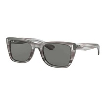 Ray-Ban RB2248 1314/B1 Erkek Güneş Gözlüğü