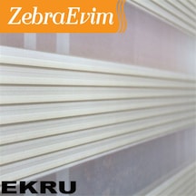 Zebraevim Trend Piliseli Zebra Perde Yeni Sezon 2 Renk