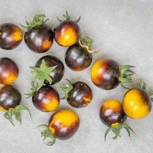 Bosque Bumblebee Domates Tohumu 15 Tohum 1 Paket