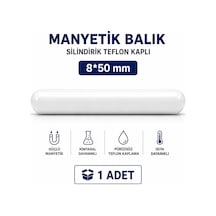 Manyetik Balık Silindirik Teflon Kaplı 8 50mm - 1 Adet