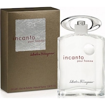 Salvatore Ferragamo Incanto Erkek Parfüm EDT 100 ML