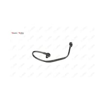 Westinghouse Borusu Latitude Nifea 474010039r Renault 11634