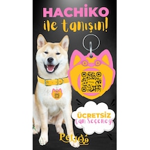 Petjoo 19.Hachiko Sarı-Pembe Qr'lı Köpek Künyesi