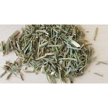 At Kuyuğu Kıkkilit Otu 250 G