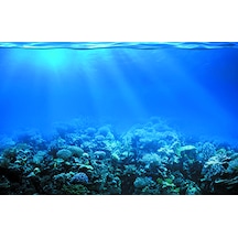 Kanki Pet 70 cm KP7045022 Akvaryum Arka Fon Yapıştırma  70x45 cm