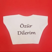 Özür Dilerim Yazılı Peluş Oyuncak Tişörtü Karışık Renk