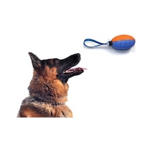 Köpek Diş Kaşıma Oyun Topu Çok Renkli