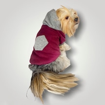 Kemique Burgundy Gray Kapşonlu Sweatshirt Köpek Kıyafeti