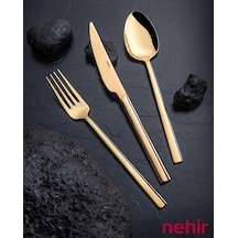 Nehir Dalyan Titanium Altın Parlak 84 Prc Deri Kutulu Çatal Bıçak