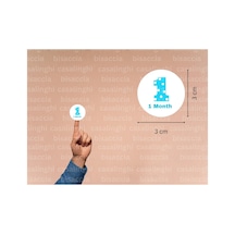 3 Cm 95 Adet Mavi 1 Month Etiketi Puanlı Bir Aylık Yuvarlak Mat Çıkartma Bebek Cute Round Sticker Çok Renkli