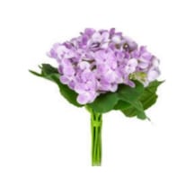 Yapay Ortanca Mor 28 Cm. Çok Renkli