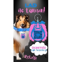 Petjoo 23.Lad Pembe-Mavi Qr'lı Köpek Künyesi