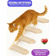 Go Cats Kedi Tırmanma Merdiveni Tırnak Törpüleme 388128715