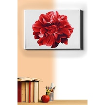 Webstyle Sayılarla Boyama Seti Kasnaklı Yıldız Çiçeği 50 X 65 Cm