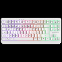 Gamebooster G75 Elya Rainbow Aydınlatmalı Beyaz Tkl Membrane Oyun Klavyesi