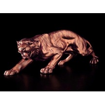 Kaplan Biblo (552970999)