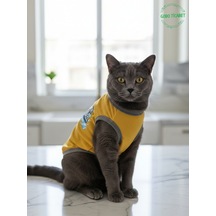 Sarı Beni Yıka Baskılı Kedi Ve Köpek Kıyafeti Evcil Hayvan Tişörtü Elbisesi Large/l/beden 3