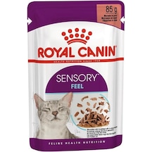 Royal Canin Sensory Feel Gravy Pouch Yetişkin Kedi Maması 85 G