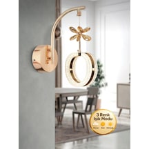 Aurea Model Tekli Gold 3 Renk Oturma Yatak Mutfak Çocuk Mutfak Odası Modu Led Aplik Altın