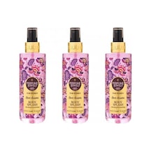 Pj Body Splash Kisses 250 Ml X 3