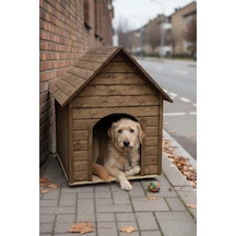 Reyo Pet Suya Soğuğa Dayanıklı Lüks Büyük Boy Ahşap Köpek Kulübesi