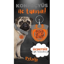 Petjoo 9.Konfüçyüs Turuncu-Gri Qr'lı Köpek Künyesi