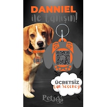 Petjoo 21.Danniel Gri-Turuncu Qr'lı Köpek Künyesi