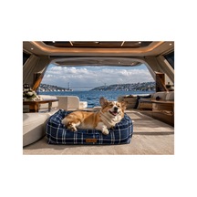 Premium Kedi Ve Köpek Yatağı Kafa Destekli Kaydırmaz Taban Yıkanabilir Fermuarlı Minder %100 Boncuk Elyaf Lacivert - 879480674