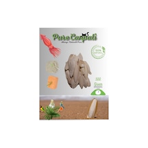 Purecanpati Kalamar Kemiği 100 Gram+mineral Blok Ve Portakallı En