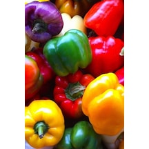 Renkli California Biberi Tohumu /eko Paket 50 + Adet
