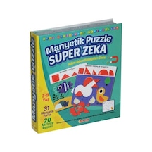 DiyToy Süper Zeka Manyetik Oyuncaklar Kutu Oyunu