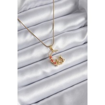 316l Çelik Gold Renk Hilal Kedi Model Zirkon Taşlı Detay Kadın Kolye - Özel Seri Bzsurn008432 altın