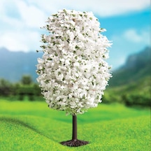 Maket Beyaz Dağ Çamı 4.5Cm - 3'Lü