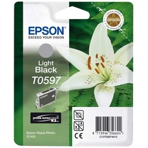Epson T0597 C13T05974020 Açık Siyah Kartuş R2400